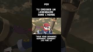 LES HAUTES HERBES, CE N'EST PLUS CE QUE C'ÉTAIT  #pokemon  #pokemonfr #humour #meme