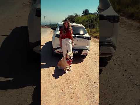 No novo Nissan Kait cabe tudo que é bom.