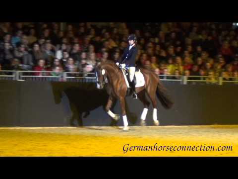 EquitanaHengstschau2013_Riccinos_SirHeinrich_Ehrenstolz