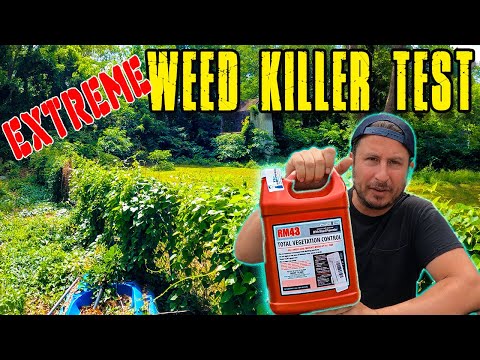 Does RM43 WORK? Ultimate Weed Killer? Before and After - RM43  Test with RESULTS!!!