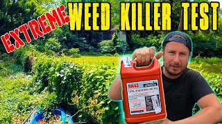 Does RM43 WORK Ultimate Weed Killer Before and After - RM43  Test with RESULTS!!!