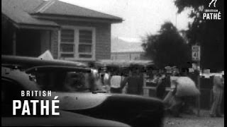 Recovery After Bush Fires (1967)