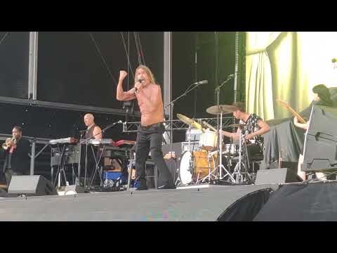 Iggy Pop rock out on stage live @ Mannheim 26/6/2023