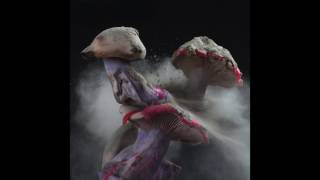 Special Request - No Phone Calls