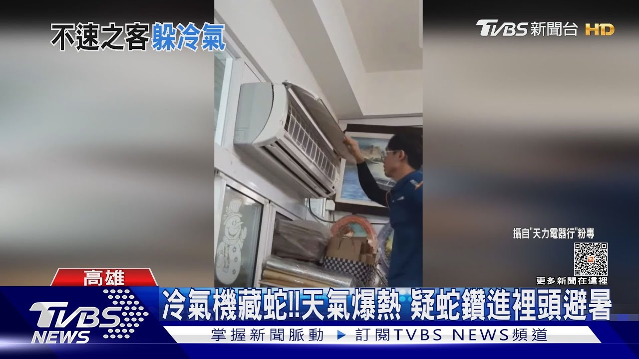 嚇！冷氣機打不開還掉鱗片　裡頭有蛇啦