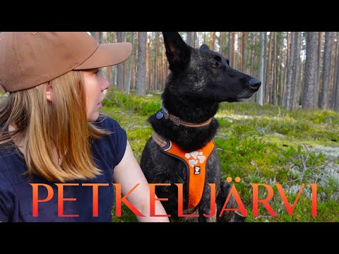 Päiväretkellä Petkeljärven kansallispuistossa | Kuikan Kierros