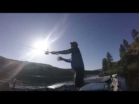 Fishing for Walleye in Rufus Woods Reservoir in Eastern Washington