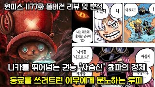 [원피스 1177화 풀버전 리뷰 및 분석] 이무에게 쓰러진 동료들을 보고 분노한 루피 vs 이무 그리고 신의 열매 쵸파의 정체