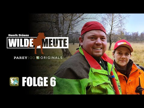 Henrik Drüens Wilde Meute | Drückjagd auf Sauen im Schilf: Hunde und Hundeführer am Limit | Folge 6