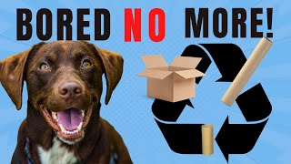 Recycled Enrichment for Your Dog