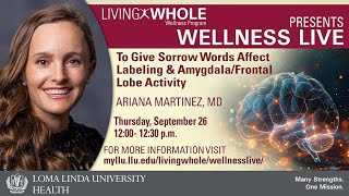 To Give Sorrow Words Affect Labeling & Amygdala/Frontal Lobe Activity