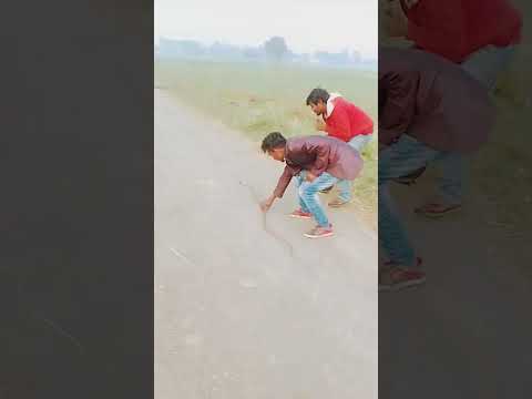 वायरल नागिन धुन बहुत ही जबरदस्त निगाहें फिल्म का नागिन धुन gsydirijozhhdjosojxjlaoxjhshdjx #shorts