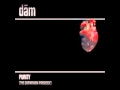 Dam - Fury