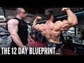 12 DAYS OUT PHYSIQUE UPDATE & SEEING MY COACH FOR THE FIRST TIME THIS PREP...