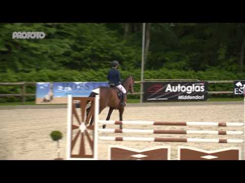 Chatender: Chacco Blue - Contender - Sandro 2009 Hannover approved Stallion