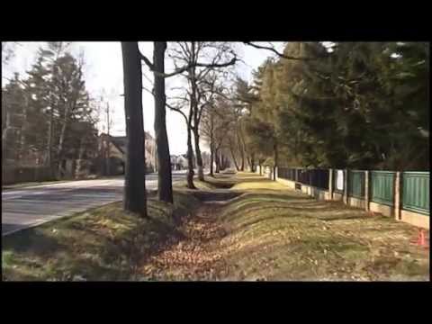 Behinderungen: Baumfällungen an der Dresdner Straße - ELSTERWELLE