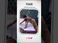 Na Karna Mohe Tang Ho Tag Your Love Couple Status Shorts Ytshorts Status Couple
