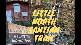 Little North Santiam trail winter 2020