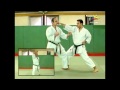 Bunkai Heian Shodan Lupo