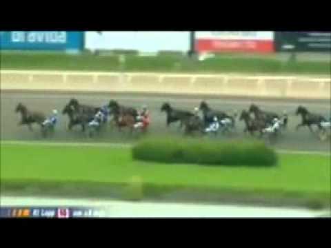 Svenskt Trav Derby 2011 -Beau Mec