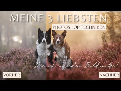 Diese Photoshop Funktionen nutze ich in jedem Bild! | #hundefotografie