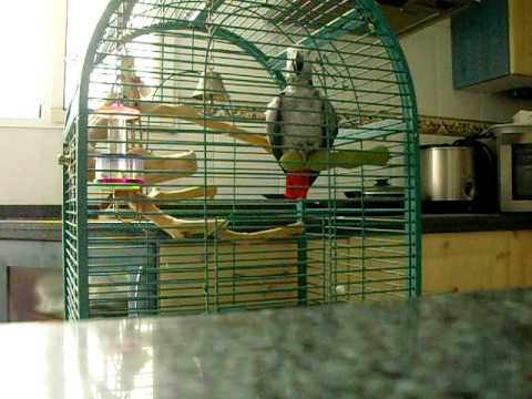 lorito lucas gol españa