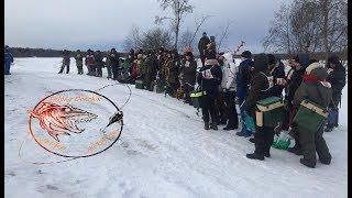 Как победить на соревнованиях по рыбалке