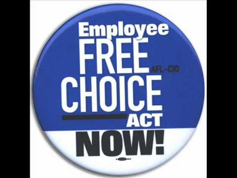 Street Dogs - Up the Union