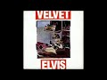 Velvet Elvis