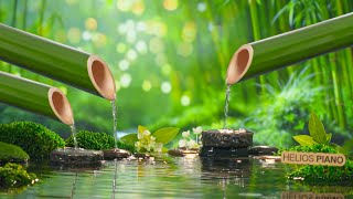 Música Para Dormir Profundamente En Menos De 5 Minutos; Musica Relajante Para Dormir