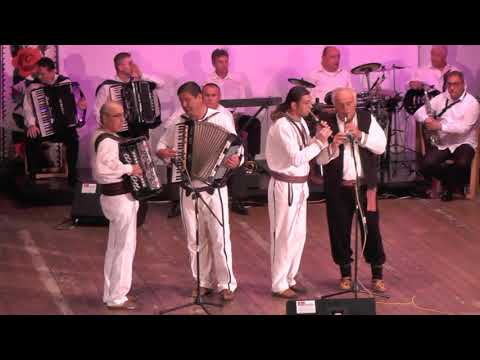 9 FESTIVAL VLAŠKE MUZIKE  GERGINA