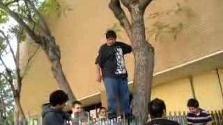 chubbz jumpin the fence =]