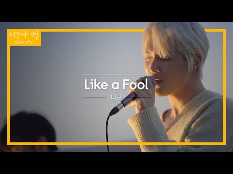 마지막 곡으로 준비한 니브(NIve)의 데뷔 곡 'Like a Fool'♬ | 비긴어게인 오픈마이크