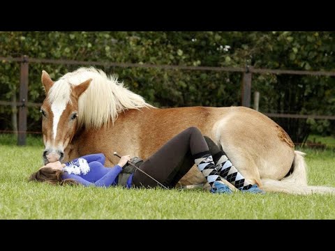 Les chevaux les plus drôles de la semaine - compilation de vidéos de chevaux drôles et mignons 2025