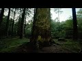 Bliss - Lento  ( Slow ) Wonderful relaxing music!