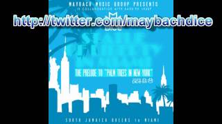 Young Dice / Maybach Dice - Secrets