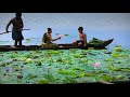 Paraniraye Thiruvonakaineetam Onam Music Yesudas And Sujatha
