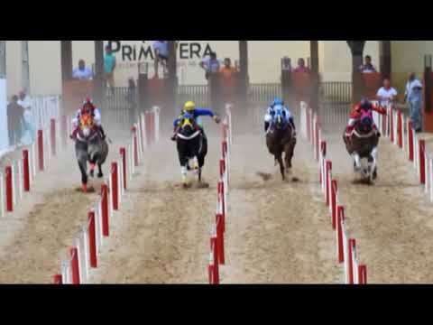 1 Páreo  Clas. XI GP Haras Primavera - Canindé - Ceará -  16, 17 e  18 de Março de 2018