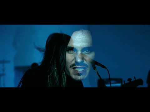 Killerpilze - Mutausbruch