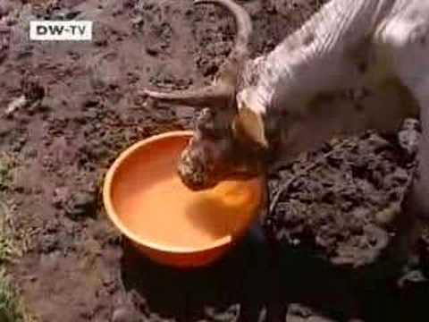 Made in Germany: Nick Moon-Entwicklungsunternehmer in Kenia