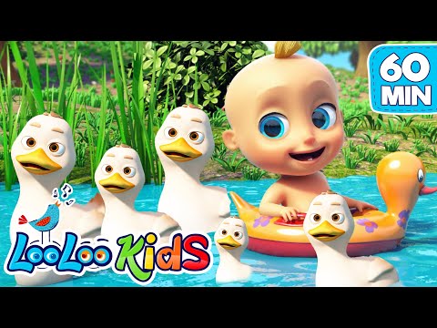 Five Little Ducks | LooLoo Kids Nursery Rhymes and Children's Songs