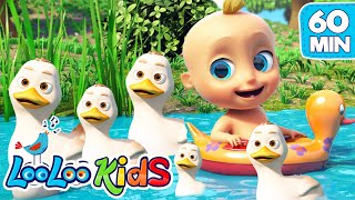 Five Little Ducks  LooLoo Kids Nursery Rhymes and 