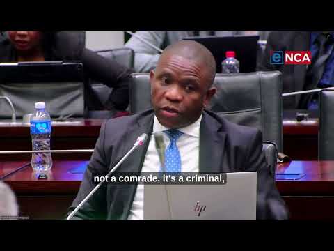 [LUNCHTIME RECAP] Three most important takeaways from Mkhwanazi's testimony at the Ad Hoc Committee.