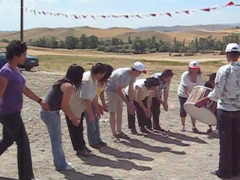 Şenlik 2008/3