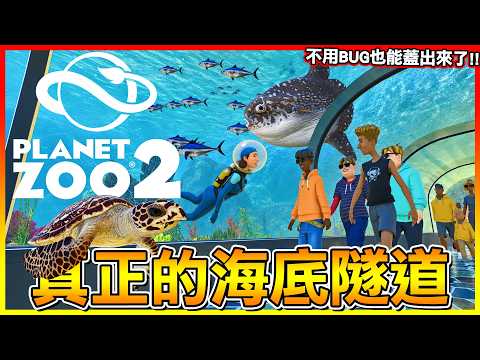 超可愛海龜來啦！真正的＂海底隧道🪸＂終於不用BUG才能建造了😂【動物園之星2 Planet Zoo2】#07
