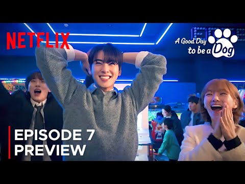 A Good Day to be a Dog | Episode 7 Preview | Cha Eun Woo | Park Gyu Young {ENG SUB}