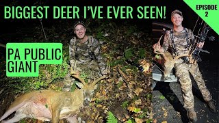 My BEST in 20 Years! | Giant PA Archery Buck with my Wife!!!
