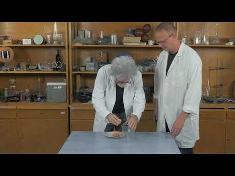 Világos Professzor - Kémia: Fehérjék