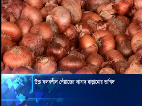 পেঁয়াজ সংকটের স্থায়ী সমাধান কৃষি বিভাগের | ETV News
