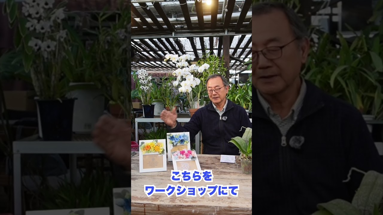 【植え替え講習会、ワークショップ開催！】[Repotting workshop and training sessions to be held!]@seedpot368  #sheathch